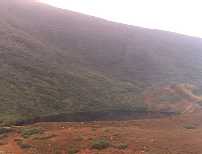 thumbnail of your picture 5