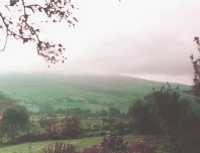 thumbnail of your picture 8