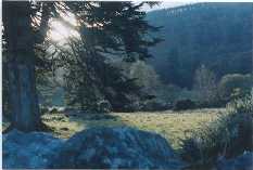 thumbnail of your picture 2