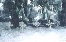 thumbnail of your picture 2