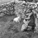 thumbnail of your picture 8